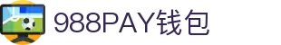 988PAY钱包 - 安全支付工具